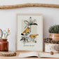 Early bird-Artwork-Nacnic-Nacnic Estudio SL