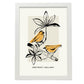 Early bird-Artwork-Nacnic-A3-Marco Blanco-Nacnic Estudio SL