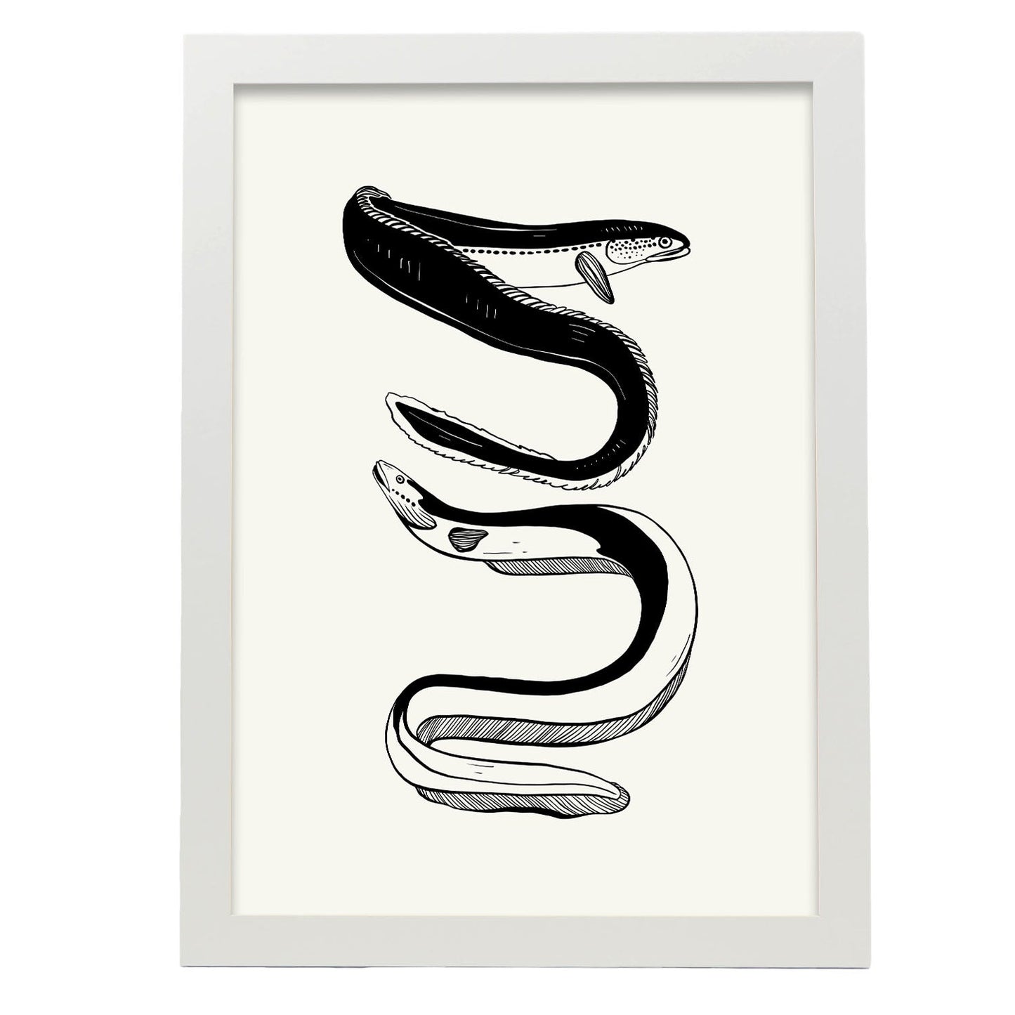 Eels-Artwork-Nacnic-A3-Marco Blanco-Nacnic Estudio SL