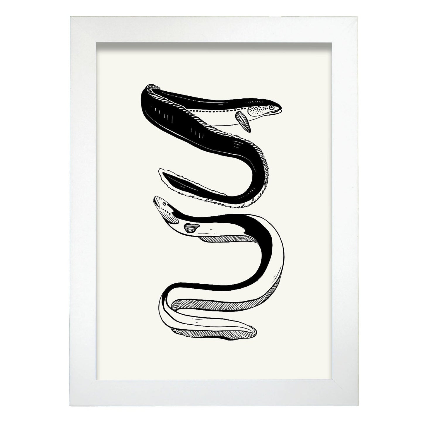 Eels-Artwork-Nacnic-A4-Marco Blanco-Nacnic Estudio SL