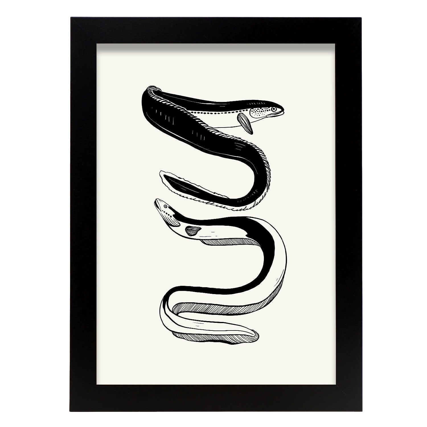 Eels-Artwork-Nacnic-A4-Sin marco-Nacnic Estudio SL
