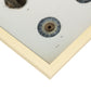 Eye, shown in isolation-Artwork-Nacnic-Nacnic Estudio SL
