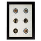 Eye, shown in isolation-Artwork-Nacnic-A3-Sin marco-Nacnic Estudio SL