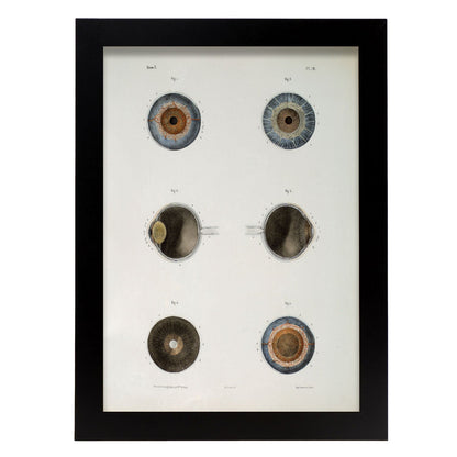 Eye, shown in isolation-Artwork-Nacnic-A4-Sin marco-Nacnic Estudio SL