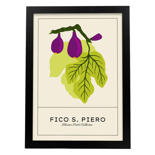 Fico S Piero-Artwork-Nacnic-A3-Sin marco-Nacnic Estudio SL