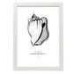 Fighting conch-Artwork-Nacnic-A3-Marco Blanco-Nacnic Estudio SL