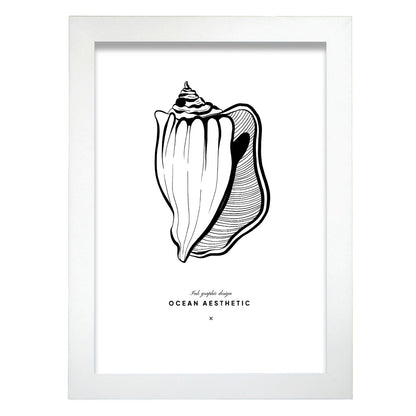 Fighting conch-Artwork-Nacnic-A4-Marco Blanco-Nacnic Estudio SL