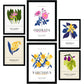 Flower Posters. Narcissus. Nature and Botany-Artwork-Nacnic-Nacnic Estudio SL
