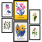 Flower Posters. Wild Bouquets. Nature and Botany-Artwork-Nacnic-Nacnic Estudio SL