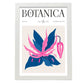 Fuchsia-Artwork-Nacnic-A3-Marco Blanco-Nacnic Estudio SL