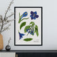 Gentian-Artwork-Nacnic-Nacnic Estudio SL