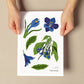 Gentian-Artwork-Nacnic-Nacnic Estudio SL
