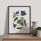 Gentian-Artwork-Nacnic-Nacnic Estudio SL