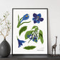 Gentian-Artwork-Nacnic-Nacnic Estudio SL