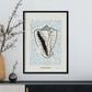 Giant conch-Artwork-Nacnic-Nacnic Estudio SL
