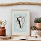 Giant conch-Artwork-Nacnic-Nacnic Estudio SL