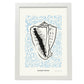 Giant conch-Artwork-Nacnic-A3-Marco Blanco-Nacnic Estudio SL