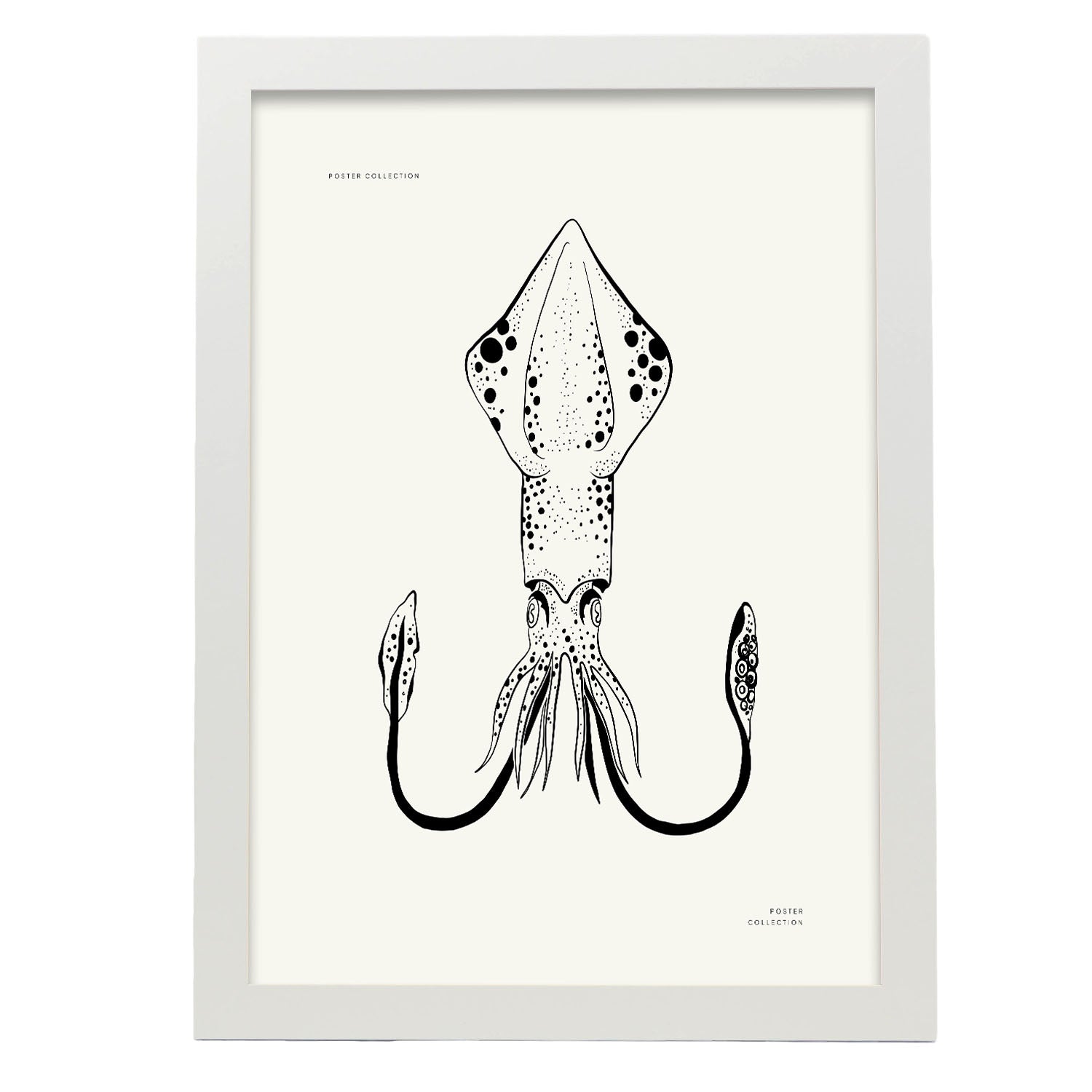 Giant Squid-Artwork-Nacnic-A3-Marco Blanco-Nacnic Estudio SL