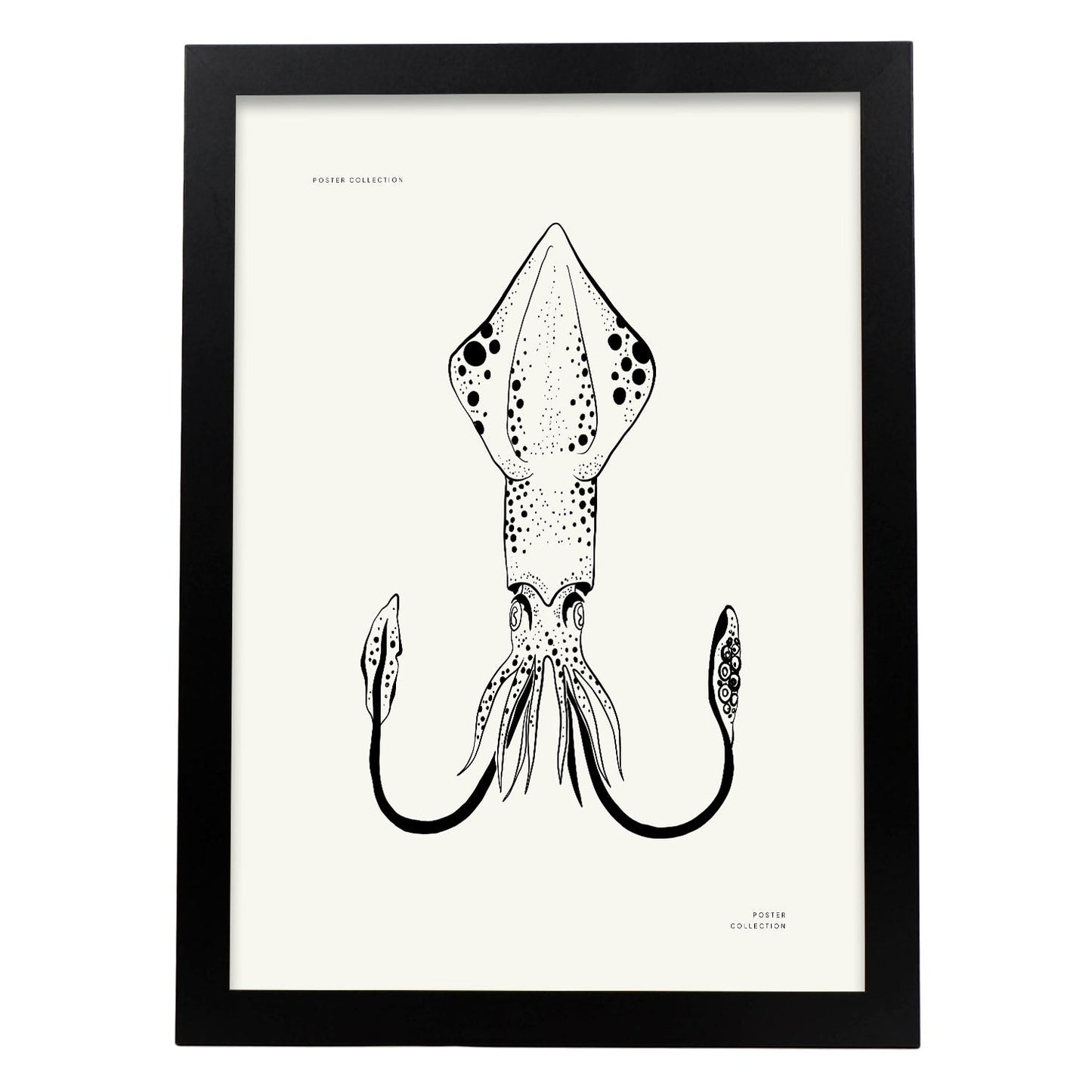 Giant Squid-Artwork-Nacnic-A3-Sin marco-Nacnic Estudio SL