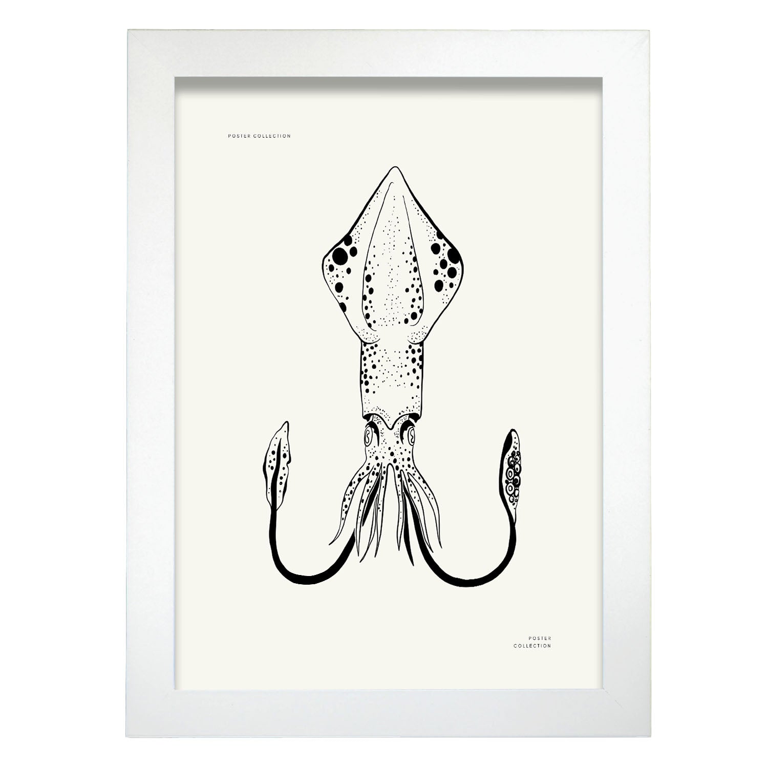 Giant Squid-Artwork-Nacnic-A4-Marco Blanco-Nacnic Estudio SL