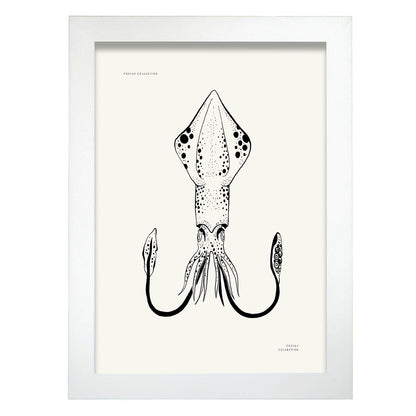 Giant Squid-Artwork-Nacnic-A4-Marco Blanco-Nacnic Estudio SL