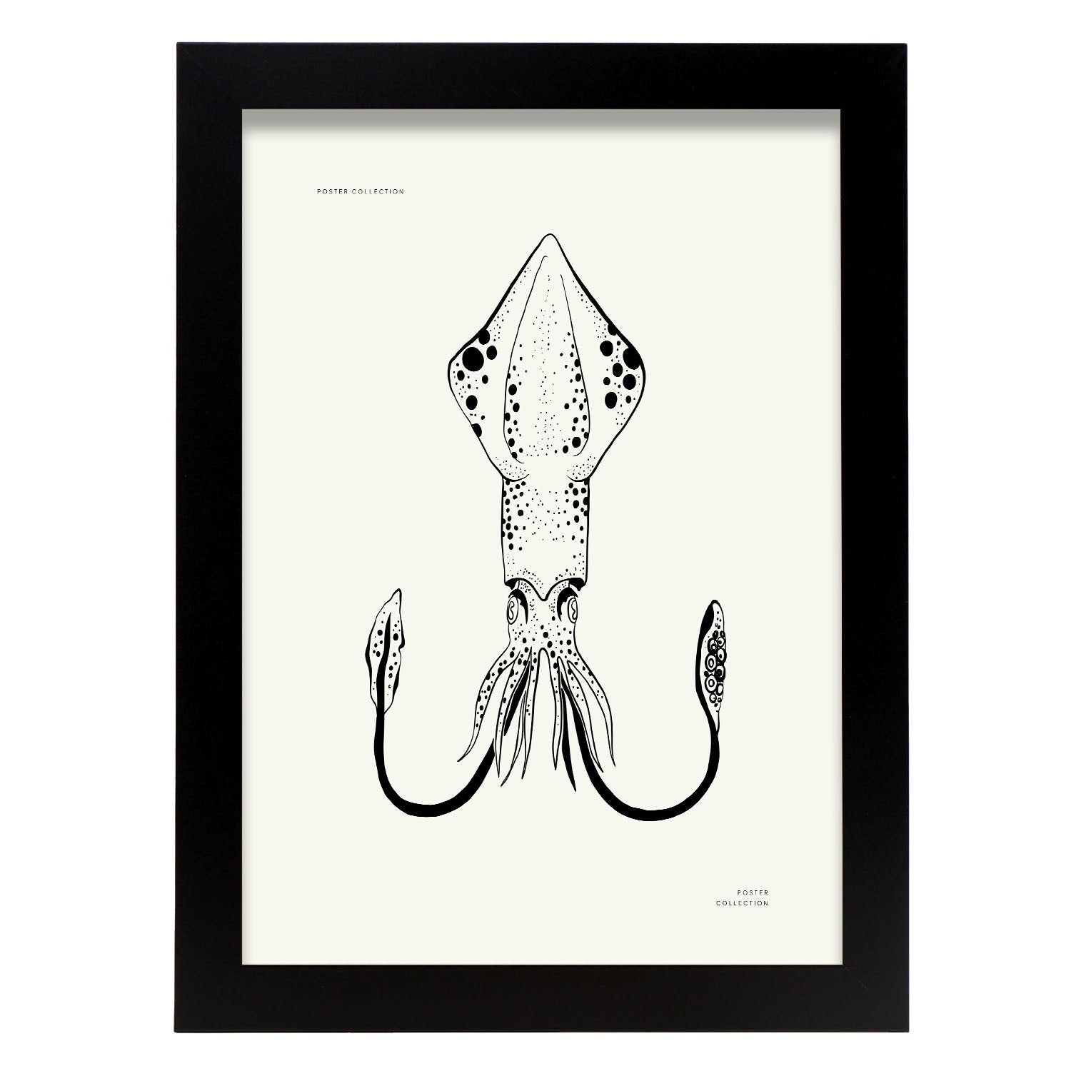 Giant Squid-Artwork-Nacnic-A4-Sin marco-Nacnic Estudio SL