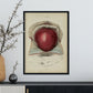 Gravid uterus-Artwork-Nacnic-Nacnic Estudio SL
