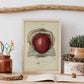 Gravid uterus-Artwork-Nacnic-Nacnic Estudio SL
