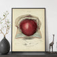 Gravid uterus-Artwork-Nacnic-Nacnic Estudio SL