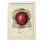 Gravid uterus-Artwork-Nacnic-A3-Marco Blanco-Nacnic Estudio SL