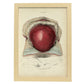 Gravid uterus-Artwork-Nacnic-A3-Marco Madera clara-Nacnic Estudio SL