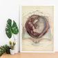 Gravid uterus with fetus-Artwork-Nacnic-Nacnic Estudio SL