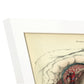 Gravid uterus with fetus-Artwork-Nacnic-Nacnic Estudio SL