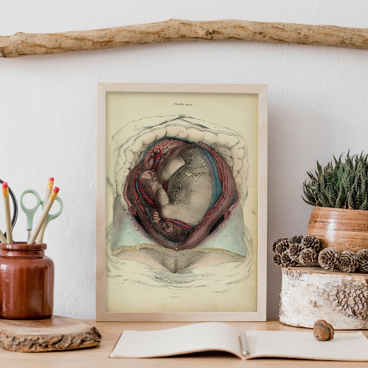 Gravid uterus with fetus-Artwork-Nacnic-Nacnic Estudio SL