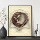 Gravid uterus with fetus-Artwork-Nacnic-Nacnic Estudio SL