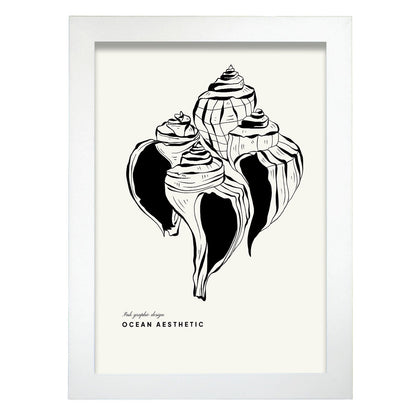 Group of Crown conch-Artwork-Nacnic-A4-Marco Blanco-Nacnic Estudio SL