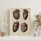 Heart and coronary arteries and veins-Artwork-Nacnic-Nacnic Estudio SL