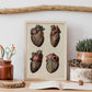Heart and coronary arteries and veins-Artwork-Nacnic-Nacnic Estudio SL