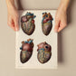 Heart and coronary arteries and veins-Artwork-Nacnic-Nacnic Estudio SL