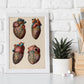 Heart and coronary arteries and veins-Artwork-Nacnic-Nacnic Estudio SL