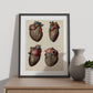 Heart and coronary arteries and veins-Artwork-Nacnic-Nacnic Estudio SL