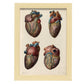 Heart and coronary arteries and veins-Artwork-Nacnic-A4-Marco Madera clara-Nacnic Estudio SL