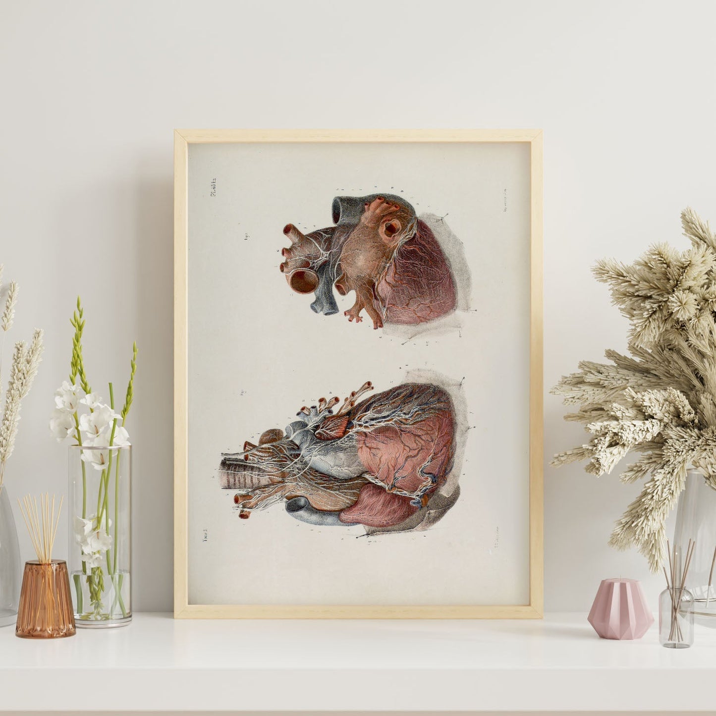 Heart and vagus nerve-Artwork-Nacnic-Nacnic Estudio SL