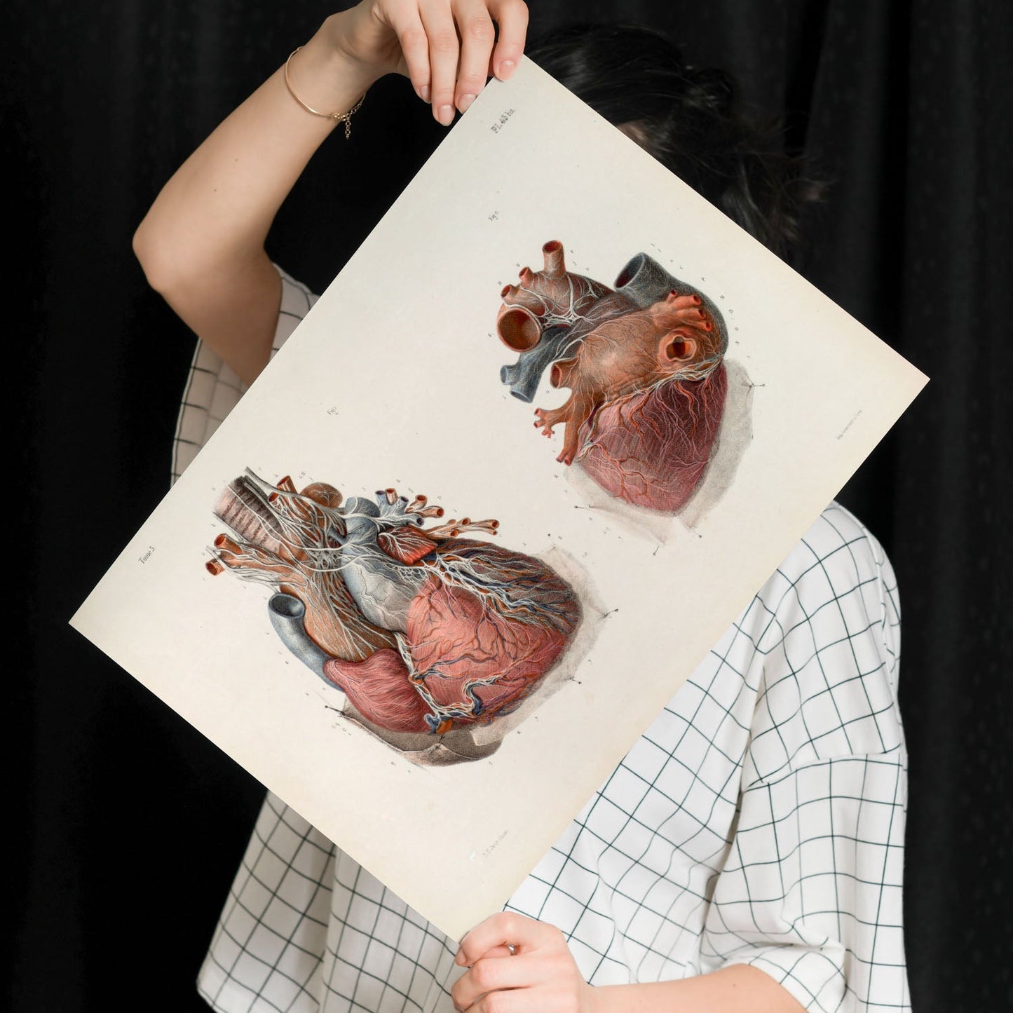 Heart and vagus nerve-Artwork-Nacnic-Nacnic Estudio SL
