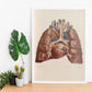 Heart, lungs, trachea and laryngeal cartilages-Artwork-Nacnic-Nacnic Estudio SL