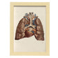 Heart, lungs, trachea and laryngeal cartilages-Artwork-Nacnic-A4-Marco Madera clara-Nacnic Estudio SL