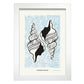 Horse Conch Shell-Artwork-Nacnic-A4-Marco Blanco-Nacnic Estudio SL