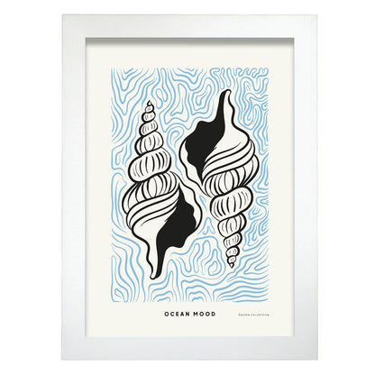 Horse Conch Shell-Artwork-Nacnic-A4-Marco Blanco-Nacnic Estudio SL