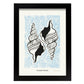 Horse Conch Shell-Artwork-Nacnic-A4-Sin marco-Nacnic Estudio SL