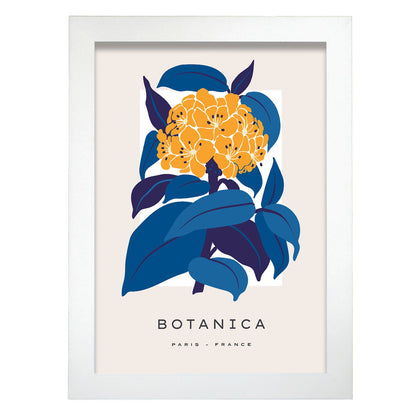 Hydrangea-Artwork-Nacnic-A4-Marco Blanco-Nacnic Estudio SL